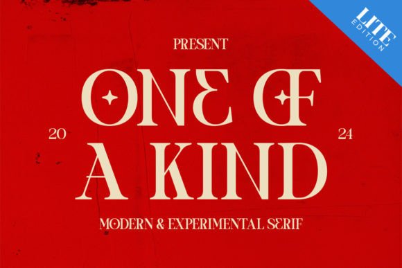 One of a Kind: The Serif Font That Breaks the Mold